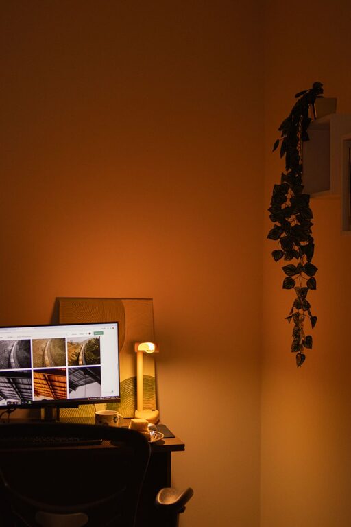 Tips for Creating a Relaxing Home Office Environment