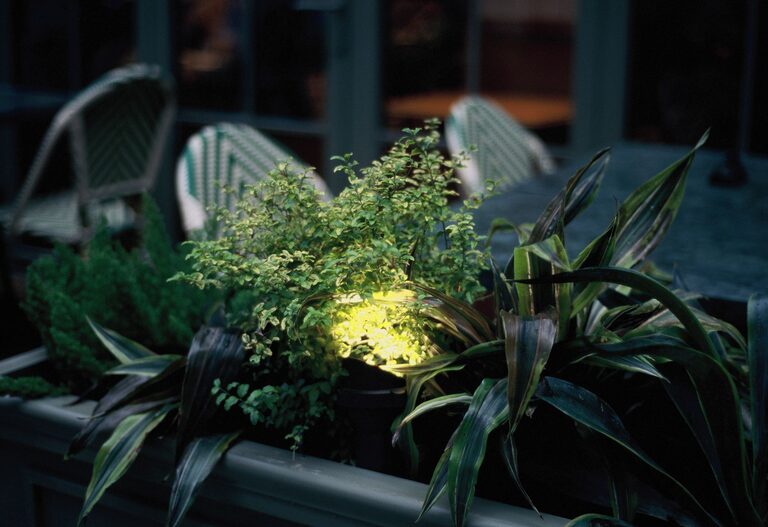 Tips for Creating an Inviting Outdoor Living Space in Your Backyard